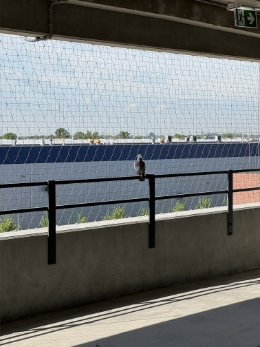 Kábelhálók zöld homlokzatokhoz - Parkolóház Varsóban