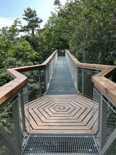 Wire mesh railings on a treetop walkway in Balatónboglar