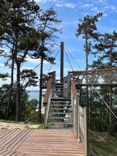 Wire mesh railings on a treetop walkway in Balatónboglar