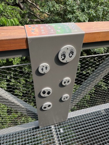 Wire mesh railings on a treetop walkway in Balatónboglar
