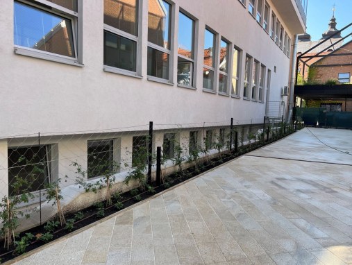 Wire mesh for green facades - courtyard of the Trnava Academy