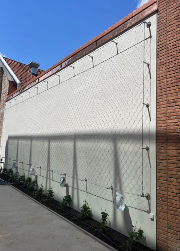 Wire mesh for green facades - courtyard of the Trnava Academy