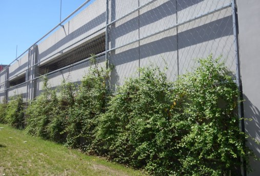 Wire mesh for green facades - Parking house Eger HU
