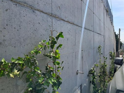 Wire mesh for green facades and walls - Trellis Nitra