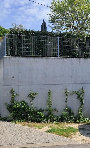 Wire mesh for green facades and walls - Trellis Nitra