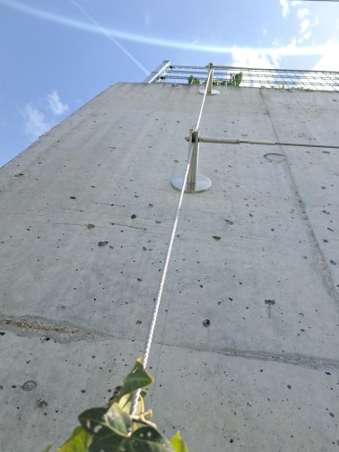 Wire mesh for green facades and walls - Trellis Nitra