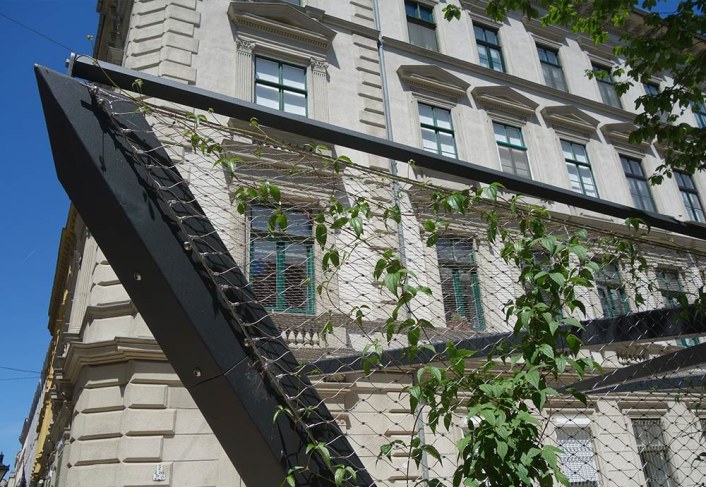 rope net with climbing plant