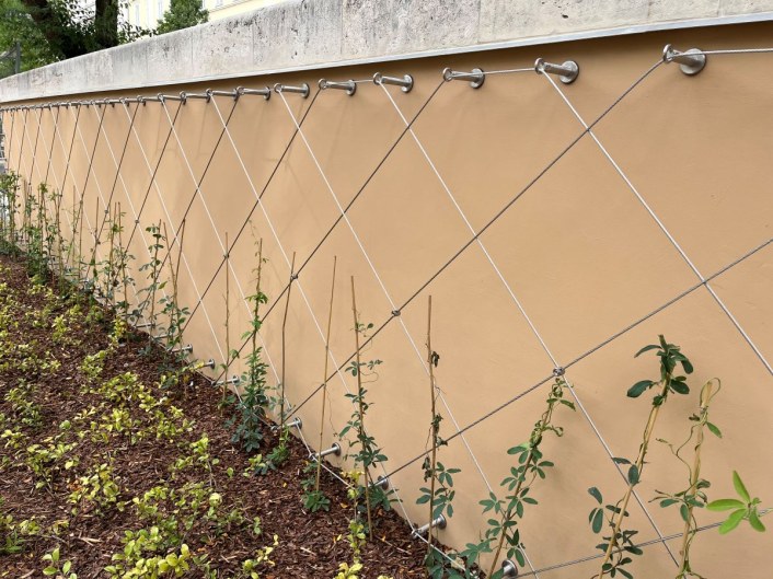 Cable system for green facades - Vaci Park Hungary