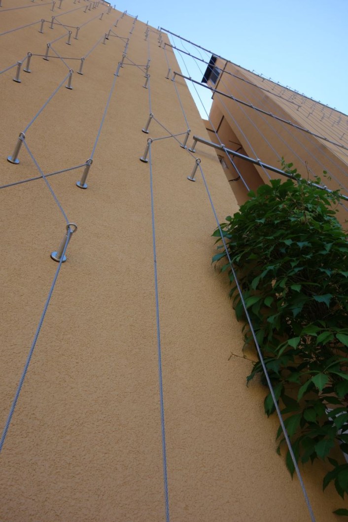 Cable system for green facades - detail - Vaci Park Hungary