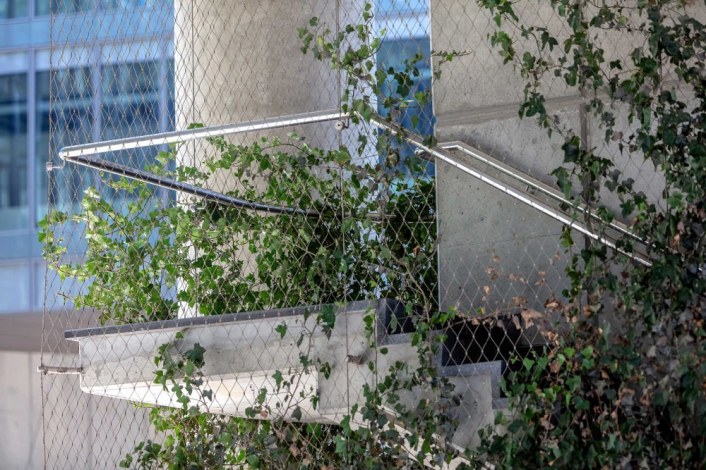 lanková sieť na schodisku s popínavou rastlinou